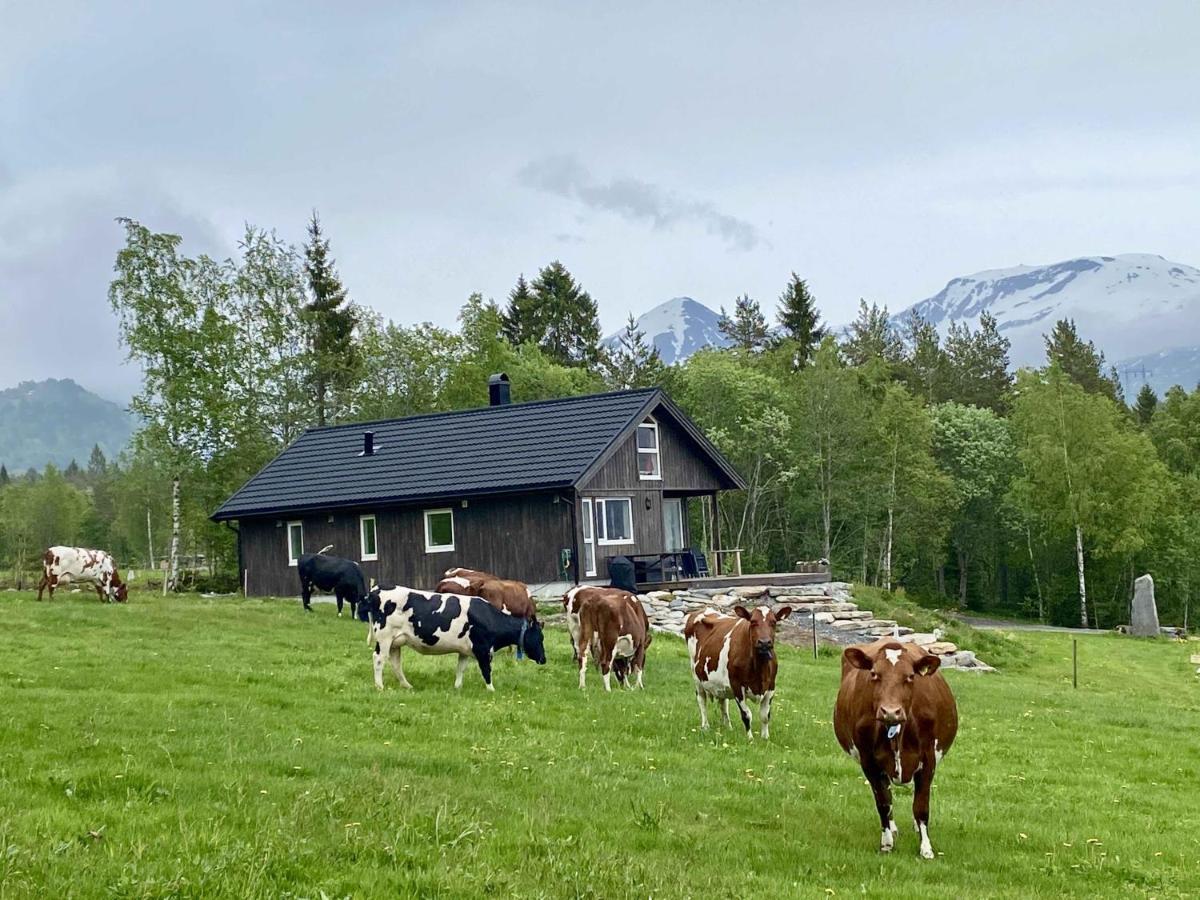 Vila Heinali Hytta Isfjorden Exteriér fotografie